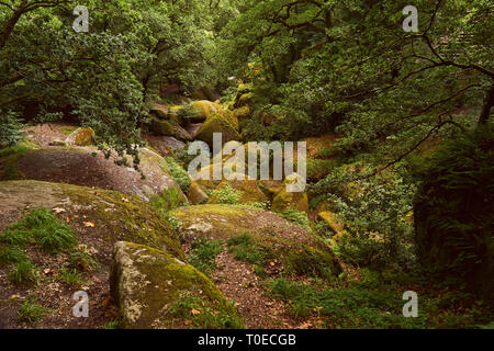 Green forest landscape with big rocks in Huelgoat, France Stock Photo