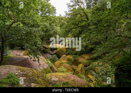 Green forest landscape with many giant rocks in Huelgoat, France Stock Photo