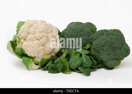 Fresh Broccoli, Spinach and Cauliflower isolated on white Stock Photo