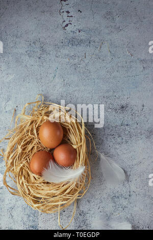 Top view of three brown chicken eggs in a nest of straw on gray concrete. Plenty of room for text. Copy space Stock Photo