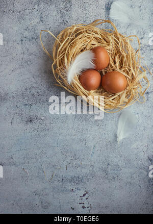 Top view of three brown chicken eggs in a nest of straw on gray concrete. Plenty of room for text. Copy space Stock Photo