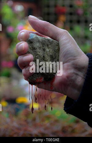 Getting blood from a stone hi-res stock photography and images - Alamy