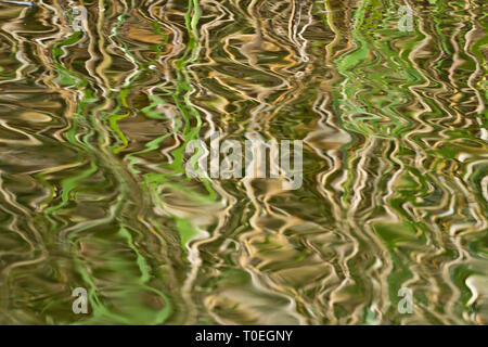 Abstract reflection of reeds in rippled water, Westhay Moor SWT reserve, Somerset Levels, Somerset, England, UK Stock Photo