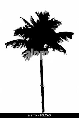 Palm tree silhouette Stock Vector