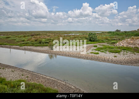 Dried river in the Camargue. Canal with drought patterns near Etang du Fangassier, Camargue, Provence, Bouches-du-Rhône, France Stock Photo
