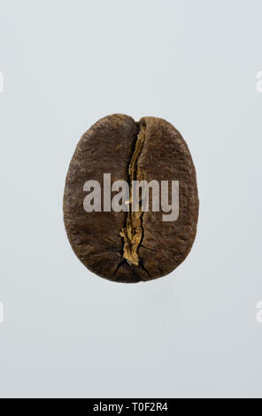 Macro image of an isolated coffee bean on a white background Stock Photo