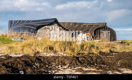 Upturned wooden boat hulls on the shore of Lindisfarne Island used as fishermens' huts. Stock Photo