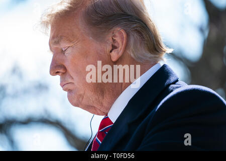 Washington, DC, USA. 19th Mar, 2019. US President Donald J. Trump and Brazilian President Jair Bolsonaro (not pictured) attend a press conference in the Rose Garden of the White House in Washington, DC, USA, 19 March 2019. Bolsonaro, a right-wing nationalist, earned the nickname the 'Trump of the Tropics.' Credit: Jim LoScalzo/Pool via CNP | usage worldwide Credit: dpa picture alliance/Alamy Live News Stock Photo