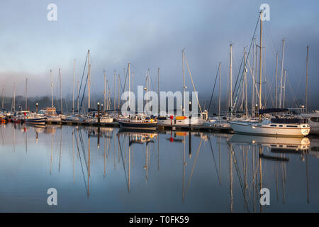 Crosshaven, Co. Cork, Ireland. 20th Mar, 2019. Early morning fog begins to dissipate with the rising sun over the marina at the Royal Cork Yacht Club in Crosshaven, Co. Cork, Ireland.- Picture Credit: David Creedon/Alamy Live News Stock Photo