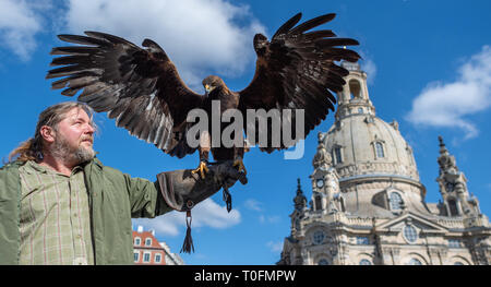 20 March 2019, Saxony, Dresden: Falconer Peter Schaaf and his eagle Shiva are standing in front of the Frauenkirche on the Neumarkt during a press conference for the announcement of the Waldmarkt 2019. On the occasion of this year's 69th Forestry Association Conference in Dresden, which invites forestry experts from all over Germany to Saxony in May, Sachsenforst is organising a forest market. From 10 to 12 May 2019 the Neumarkt in front of the Frauenkirche will be transformed into an idyllic clearing surrounded by trees. Photo: Robert Michael/dpa-Zentralbild/ZB Stock Photo