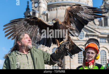 20 March 2019, Saxony, Dresden: Falconer Peter Schaaf (l) with his eagle Shiva and forest worker Linda Nowotny are standing in front of the Frauenkirche during a press event for the announcement of the Waldmarkt 2019 on the Neumarkt. On the occasion of this year's 69th Forestry Association Conference in Dresden, which invites forestry experts from all over Germany to Saxony in May, Sachsenforst is organising a forest market. From 10 to 12 May 2019 the Neumarkt in front of the Frauenkirche will be transformed into an idyllic clearing surrounded by trees. Photo: Robert Michael/dpa-Zentralbild/ZB Stock Photo