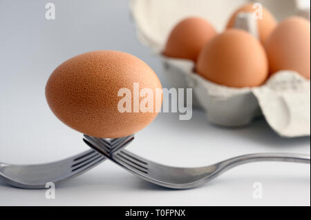 Egg in balance on two forks on white background. Four more eggs out of focus in a carton egg box Stock Photo