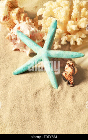 Sea shells with sand as background. Sashells and starfish. Stock Photo