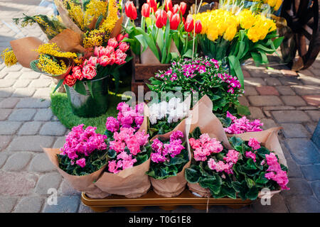 Flower market. Spring flowers in boxes and buckets ready for sale. Tulips bouquets. Mother's day present Stock Photo