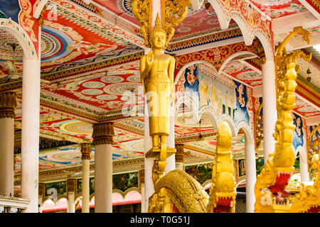 Stunning view of a gold-covered Buddha Statue in front of the beautiful and colourful Wat That Luang Tai in Vientiane, Laos. Stock Photo