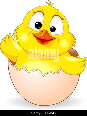 Little yellow chicken on white background. Cartoon chick peeking out of an eggshell. Stock Vector