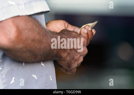 The hands of a man holding money (rufiyaa) after trading, outdoors. Stock Photo