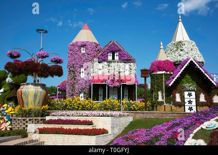 Replica of Disney Castle covered with flowers, Dubai Miracle Garden a flower garden, Dubailand, Dubai, United Arab Emirates. Stock Photo