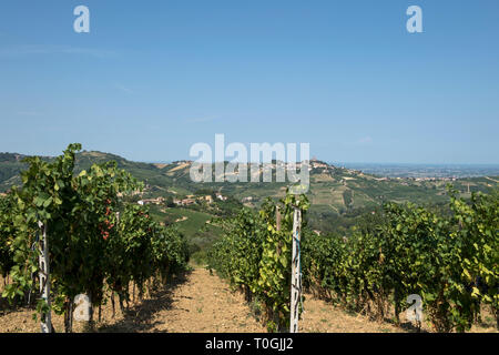 Italy, Lombardy, Oltrepo Pavese, Castana, vineyards and landscape Stock Photo