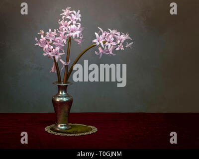Foto ein 30,5/ x 45,7/ cm Fotodruck violett violett hoher Stauden-Phlox Amethyst Mehrj/ährige Blumen Hochformat Foto Farbe Bild Fine Art Print Fotografie von Andy Evans Fotos