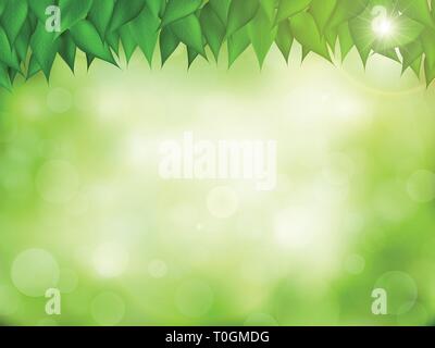Nature green realistic background. Stock Vector