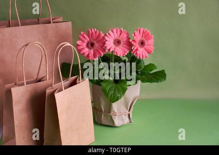 Coral gerbera daisy flowers and craft papper shopping bags on green paper background, Springtime sale concept image with copy-space Stock Photo
