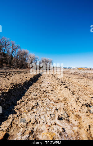 Muddy tire tracks on a ranch dirt road; central Colorado; USA Stock Photo