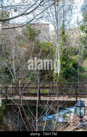 this is a capture for a small river located in north Lebanon and you can see the green grass and trees on the edge and with some large rocks in the mi Stock Photo