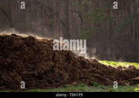 Pile of manure on an agricultural field for growing bio products Stock Photo