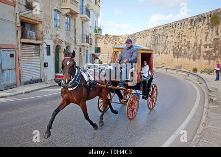 Horse drawn carriage ride through the streets of Valletta Stock Photo