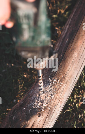 Drilling hole in timber while working in garden Stock Photo