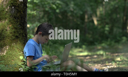teen boy sitting near a tree in the forest and working on a laptop, sunrays Stock Photo