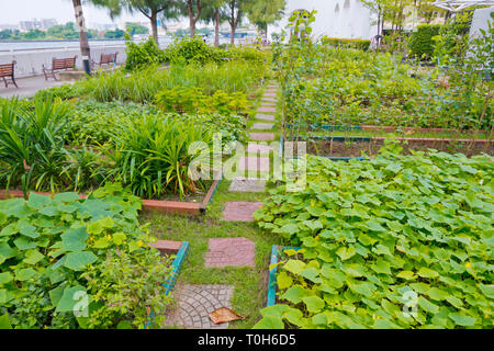 Dome organic garden, by the river, Tha Phra Chan, Bangkok, Thailand Stock Photo