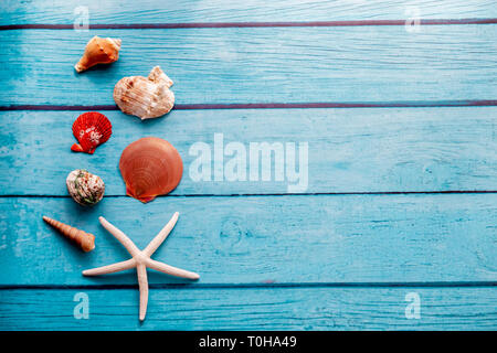 Top view of starfish and many seashells on blue wood textured background - with copy space - summer time and holiday backdrop concept Stock Photo