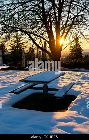 Burnaby Mountain Park in Winter.  Burnaby, British Columbia, Canada.  Sun setting behind the trees. Stock Photo