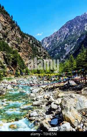 Bhagirathi River, Harsil, Uttarakhand, India, Asia Stock Photo