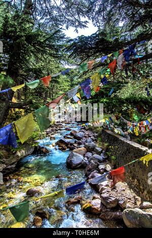 Bhagirathi River, Harsil, Uttarakhand, India, Asia Stock Photo