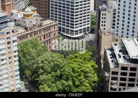 Looking down on the leafy mature trees that cover both the surrounding streets and Macquarie Place Park in Sydney's CBD. Stock Photo