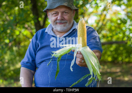 Nice portrait of senior farmer giving ripe ear of maize while sitting under tree shadow Stock Photo