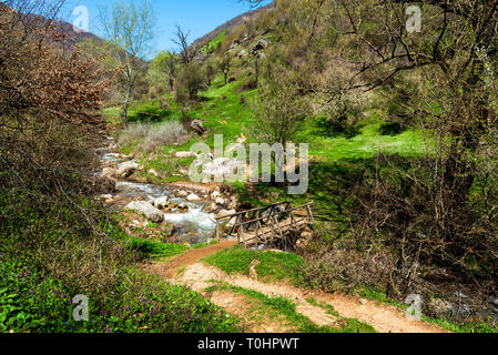Scenic small river and natural landscape in spring on a sunny day Stock Photo