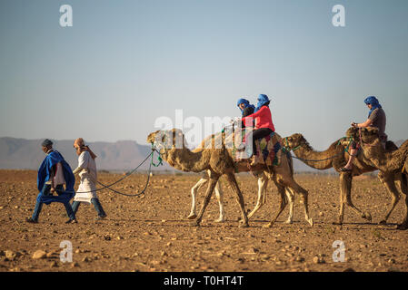 Camel caravan with tourists going through the Sahara Desert Stock Photo