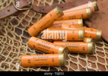 A number of old Eley paper cased 20 gauge, or bore, shotgun cartridges loaed with lead shot and displayed on an old game bag.  Collecting shotgun cart Stock Photo