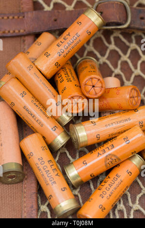 A number of old Eley paper cased 20 gauge, or bore, shotgun cartridges loaed with lead shot and displayed on an old game bag.  Collecting shotgun cart Stock Photo