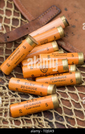 A number of old Eley paper cased 20 gauge, or bore, shotgun cartridges loaed with lead shot and displayed on an old game bag.  Collecting shotgun cart Stock Photo