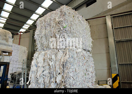 Stacked paper bales for recycling Stock Photo