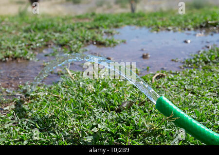 MENDOZA, ARGENTINE, January 19, 2017. water and irrigation, use of water for irrigation, San Martín Park of Mendoza City, MENDOZA. Foto: Axel Lloret Stock Photo