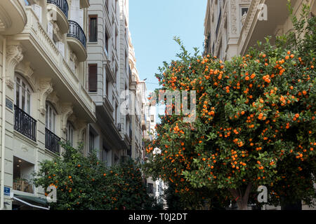 VALENCIA, SPAIN - FEBRUARY 24 : Orange Tree in the Town Hall Square of Valencia Spain on February 24, 2019 Stock Photo