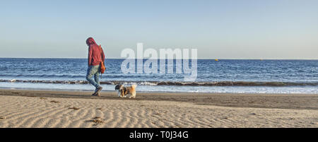 Man walking on the beach with his dog Stock Photo