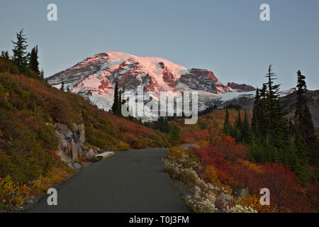 WA15985-00...WASHINGTON - Fall time sunrise from the paved trail to Edith Creek Basin in the Paradise area of Mount Rainier National Park. Stock Photo