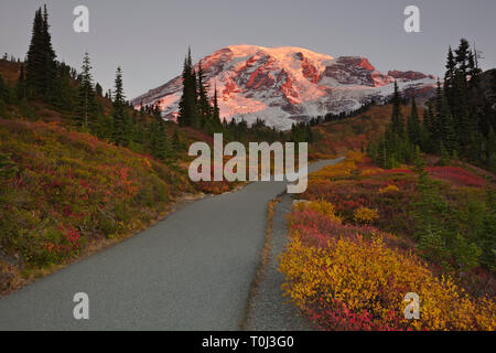 WA15986-00...WASHINGTON - Fall time sunrise from the paved trail to Edith Creek Basin in the Paradise area of Mount Rainier National Park. Stock Photo